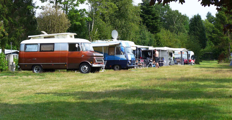 Camping het Vossenhol - Glamping Camping