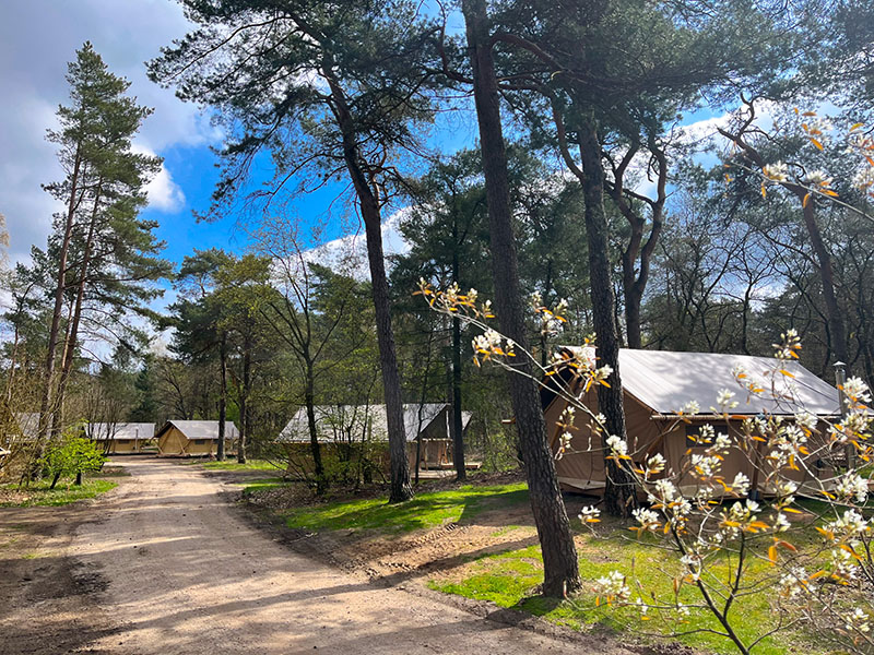 Glamping Camping Huttopia De Veluwe