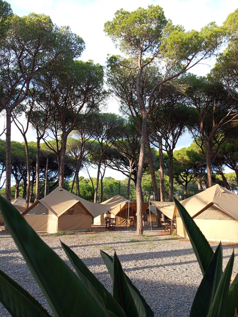 Glamping Camping Pla de la Torre